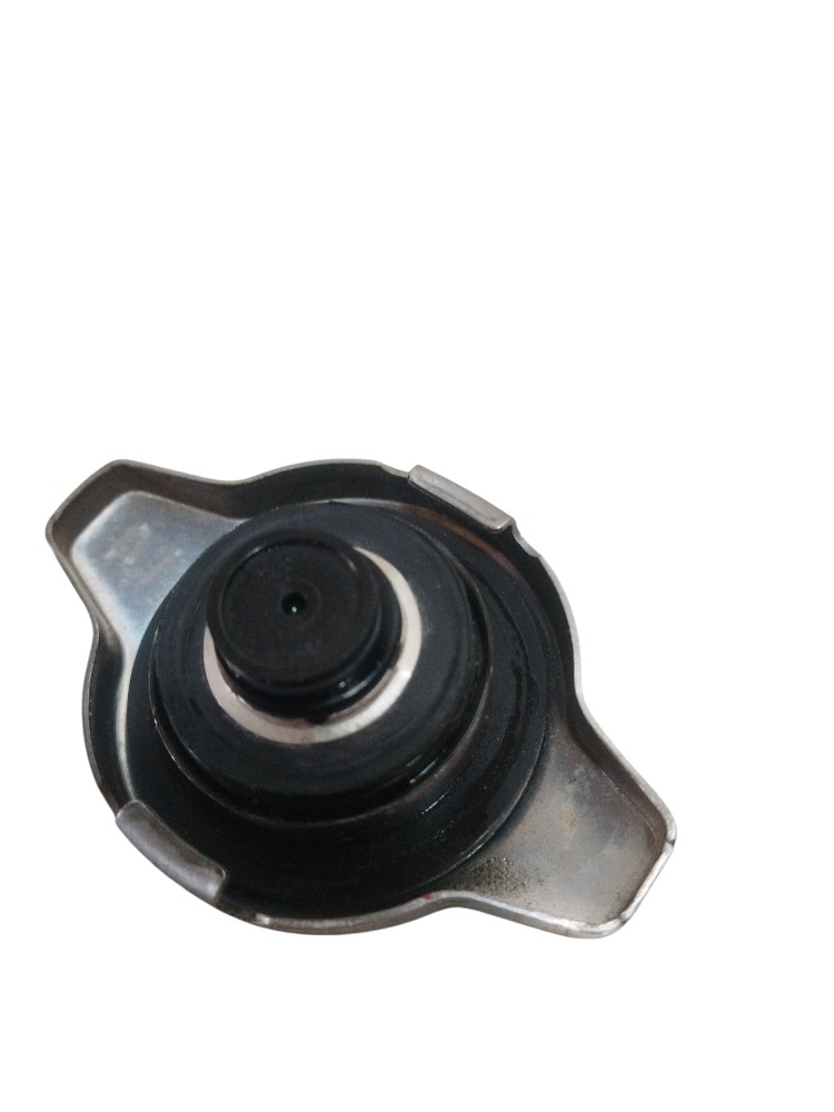 Tampa do radiador Gwm Tank 300 hibrido 2025 2026 ORIGINAL 5