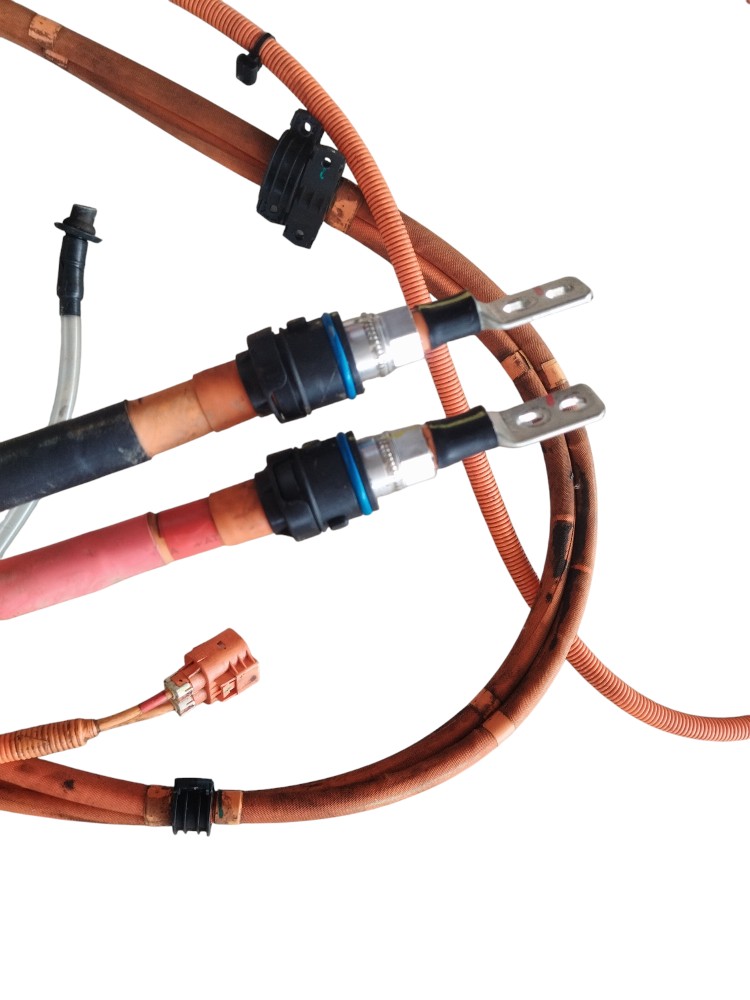 Kit  Porta Carregador   Cabos  Byd Tan 2023 Original 6