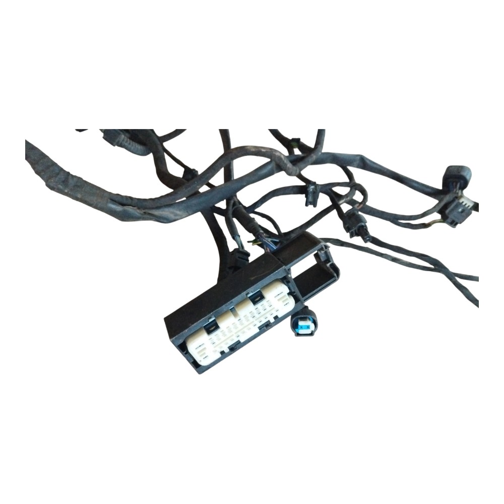Chicote Principal Bmw R 1250 Rt 2020 Original 9480817 01 4