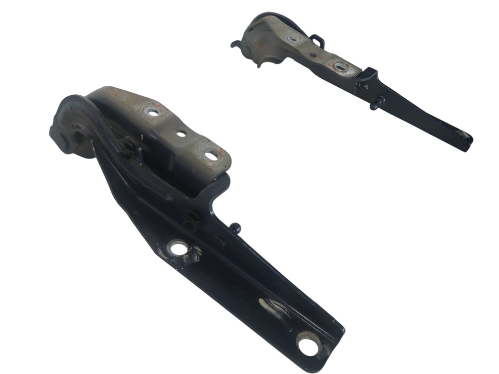 Dobradiças Capô Byd Tan 2023 St8402610 St8402619 Original 5