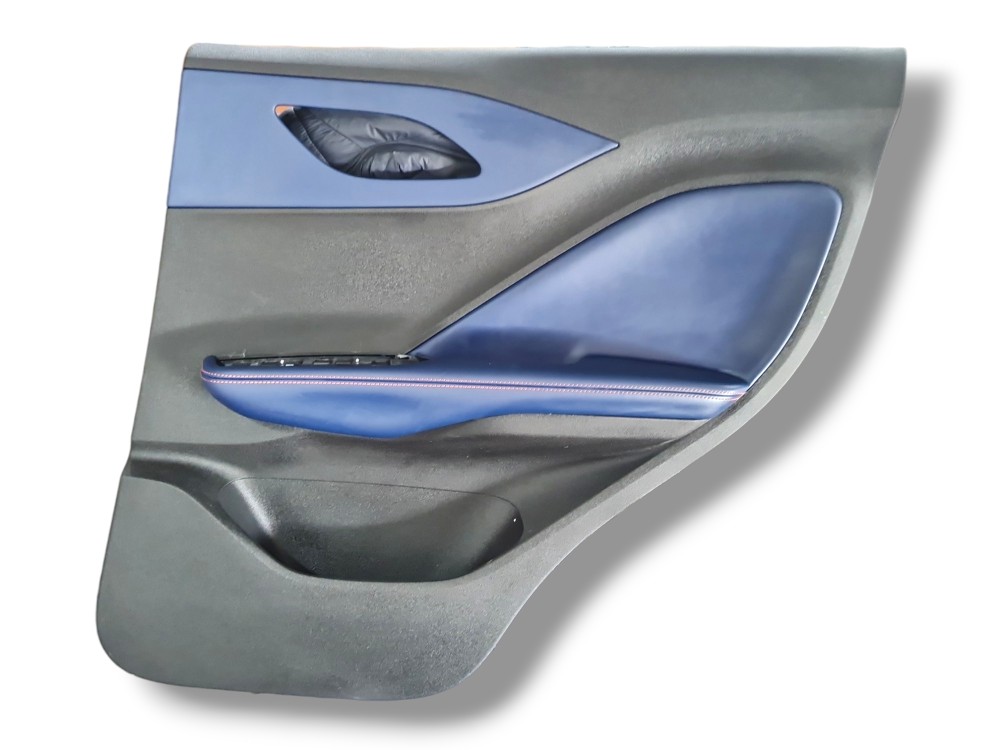 Forro Porta Traseira Direita Byd Dolphin Mini 2024 2025 2026 3