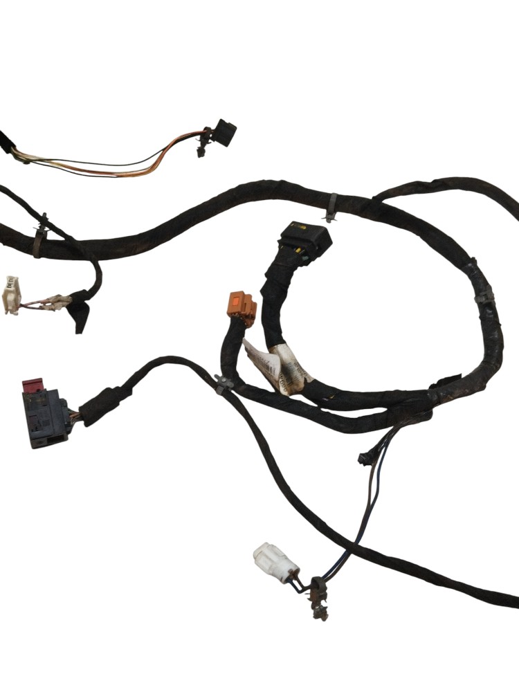 Chicote da porta dianteira Chevrolet Captiva 2009 ORIGINAL 2