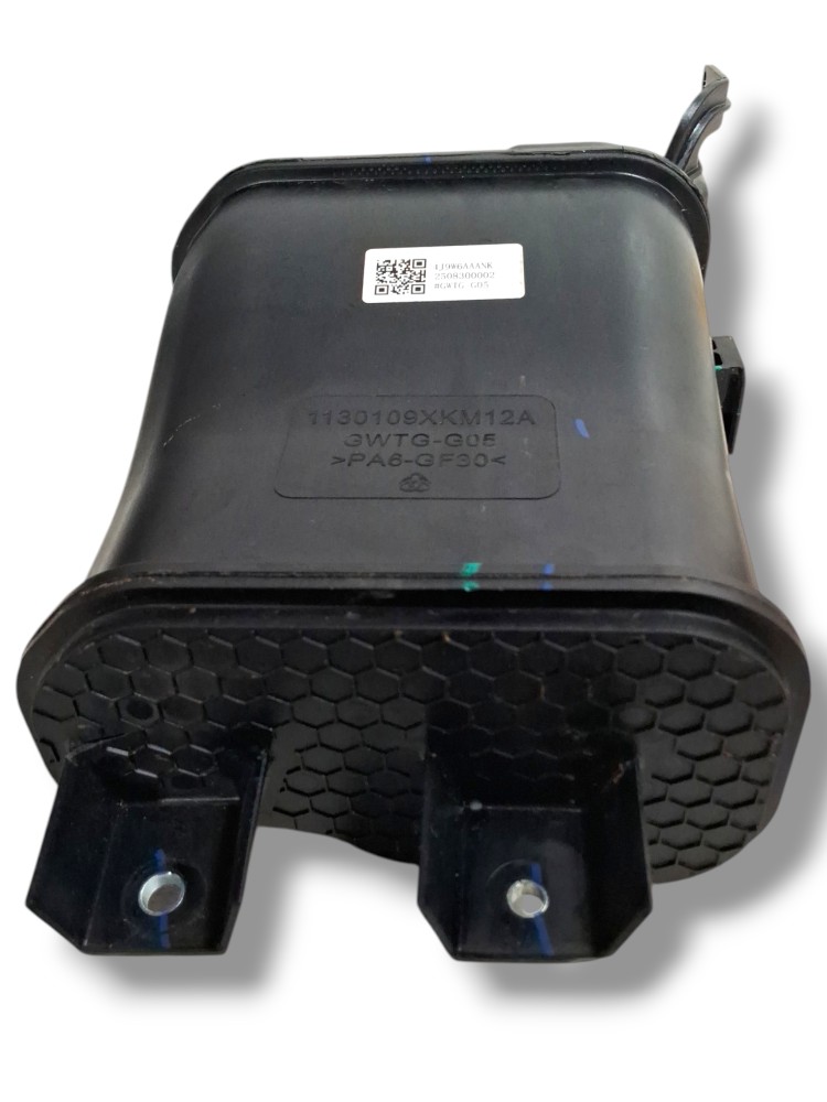 Filtro Canister Gwm Tank 300 2024 2025 4j9w6aaank 1