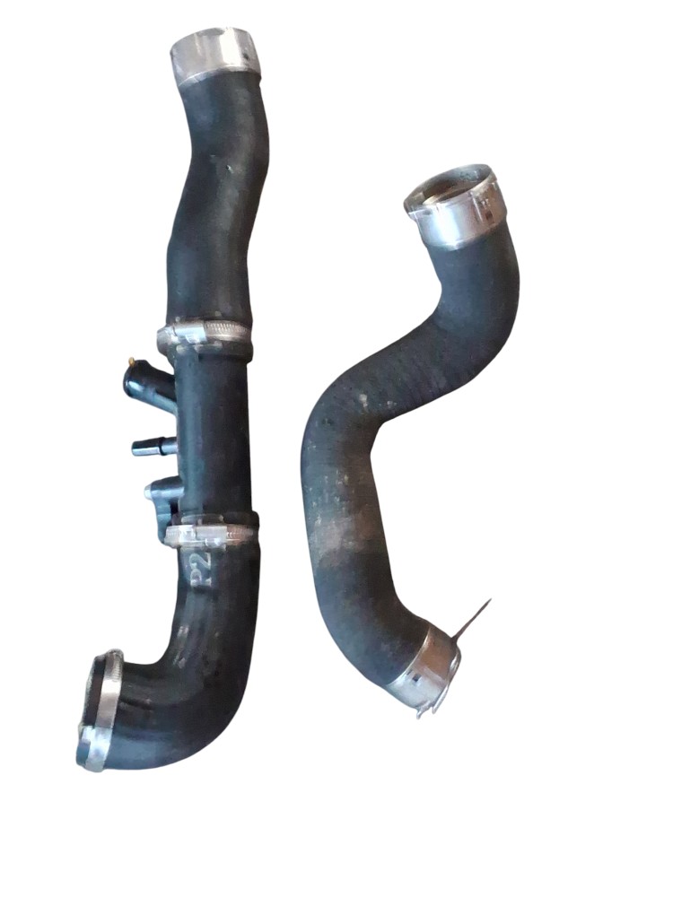 Kit 2 Mangueira De Agua Gwm Tank300 Híbrido 2025 2026 3