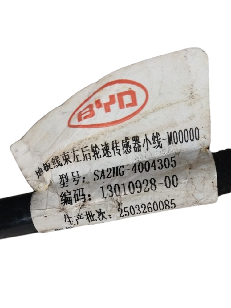 Chicote Abs Traseiro Esquerdo Byd Song Pro 2025 SA2HG4004305 6