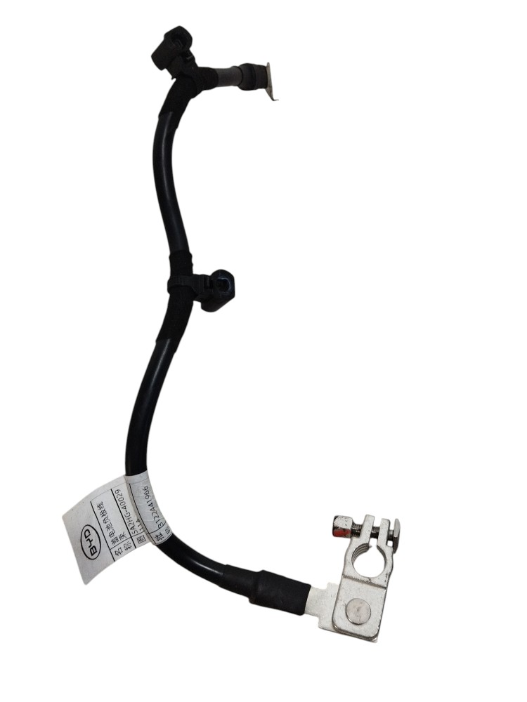 Cabo de Bateria Byd Song Pro 2025 2026 SA2HG4002911A 5