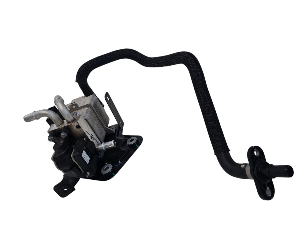 Trocador de calor para gwm tank 300 ano 2025 2026 original 4
