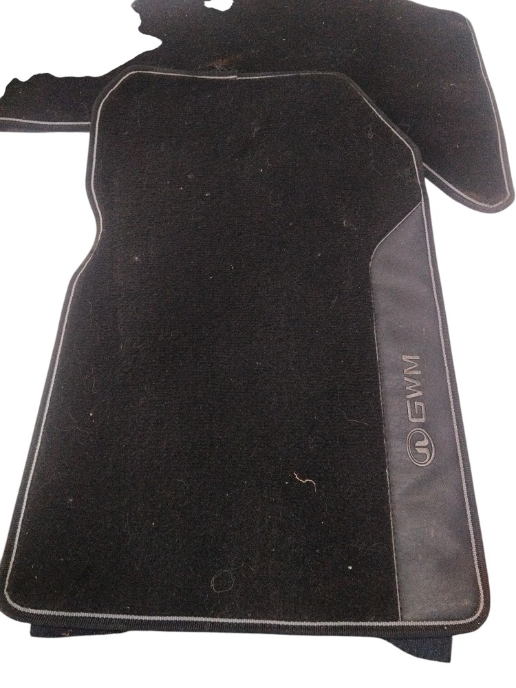 Jogo Completo De Tapetes Carpete Original Gwm Tank 300 2026 Preto 2