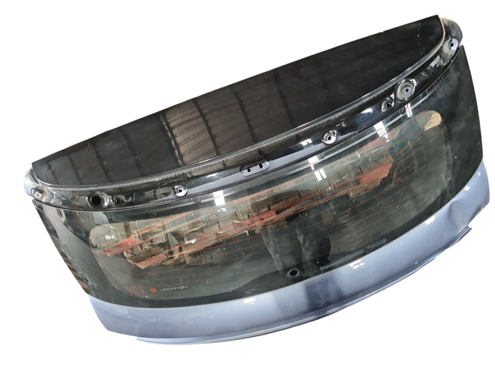 Tampa Porta Malas Byd Dolphin Plus 2024 2025 2026 Detalhe 4