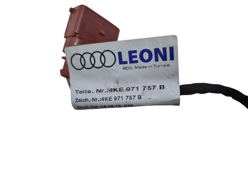 Chicote De Cabos Traseira Para Audi E-tron Ano 2022 Original 6