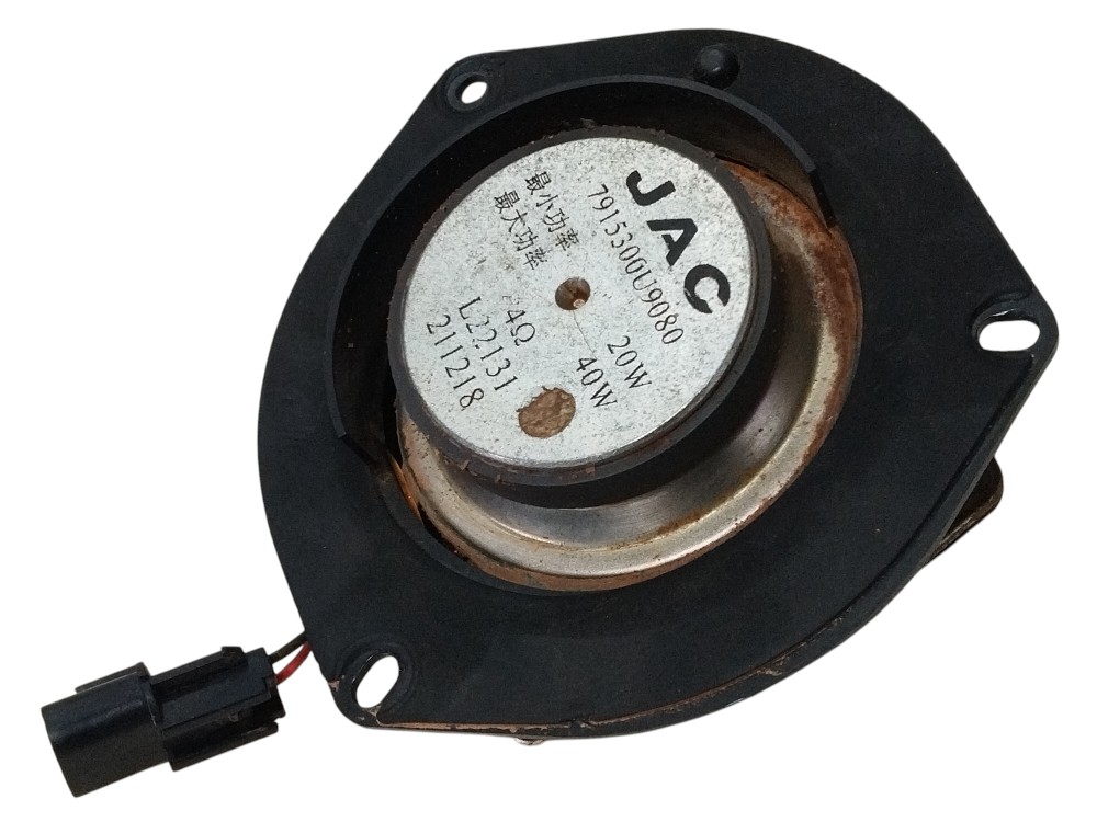 Alto falante Porta Traseira Direita I/JAC E JS1 2023 5