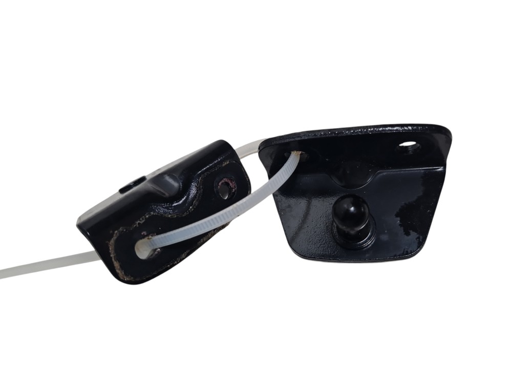 Par Suporte Amortecedores Porta Malas Byd Dolphin Mini 2026 Preto 4