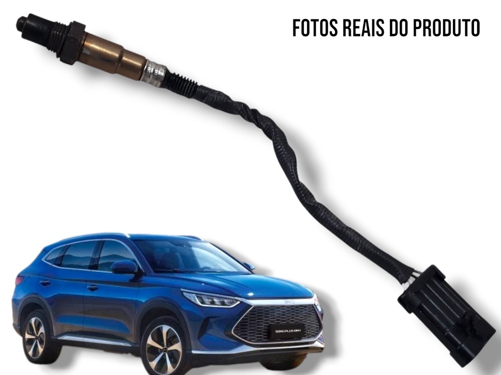 Sonda Lambda Byd Song Plus 2024 F01r00c060 Original 1