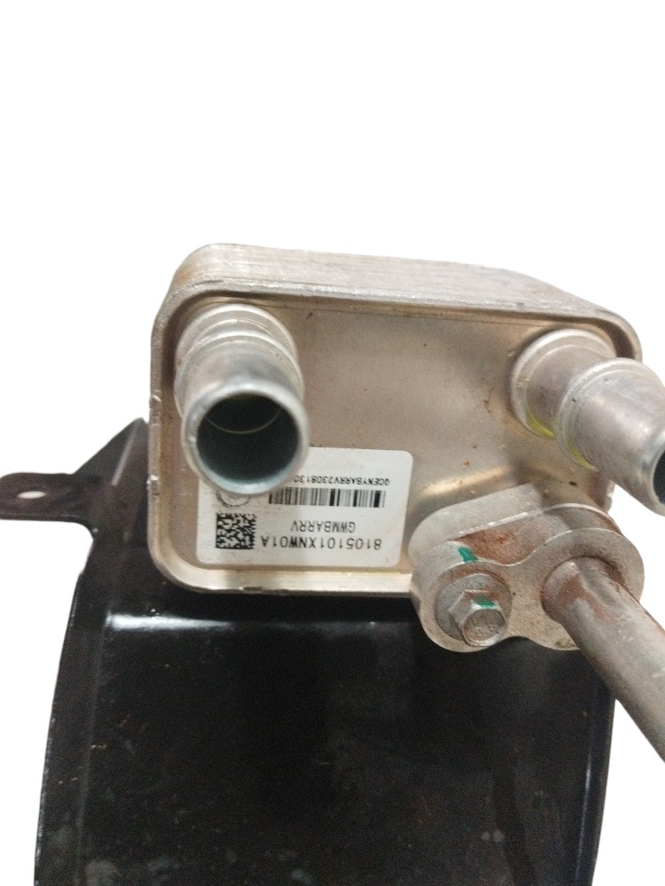 Radiador resfriador de agua da bateria Gwm Ora 03 Skin 2024 4