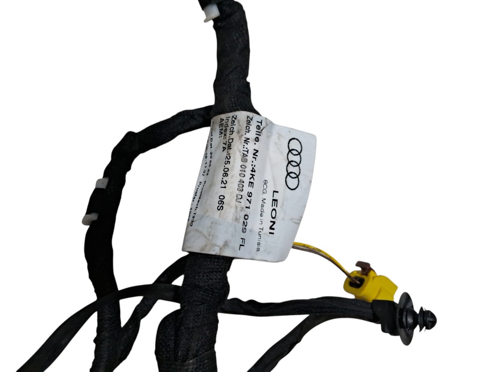 Chicote Porta Dianteira Motorista Audi E tron SPB 2022 6
