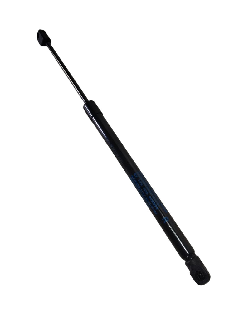 Par De Amortecedor Porta Malas Byd Dolphin Mini Original 3