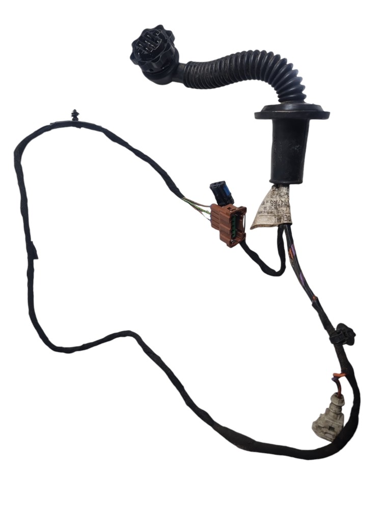 Chicote Porta Traseira Esquerda Peugeot 207 2013 9674726580 5