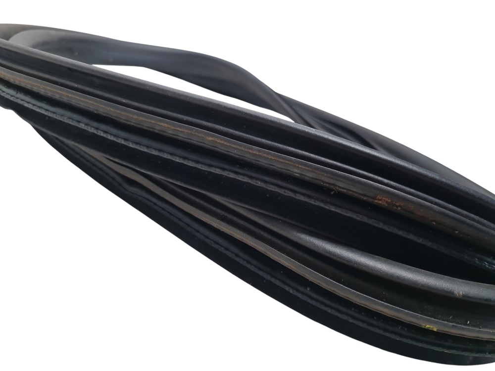 Borracha de vedaçao porta traseira Renault logan zen 2013 6
