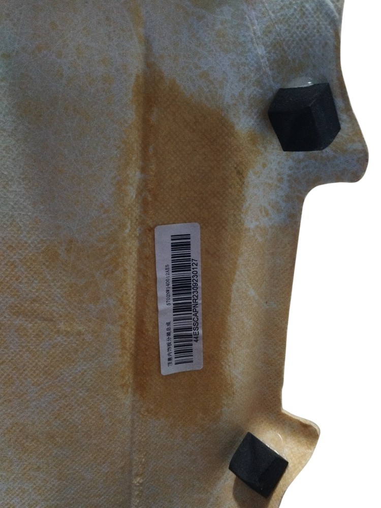 Forro de teto interno Gwm Ora 03 Skin 2023 2024 ORIGINAL 6