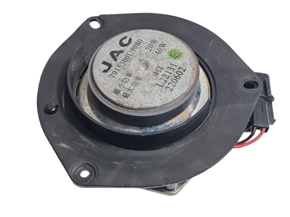 Alto Falante Traseiro Esquerdo Jac E-js1 2023 Original  L 3