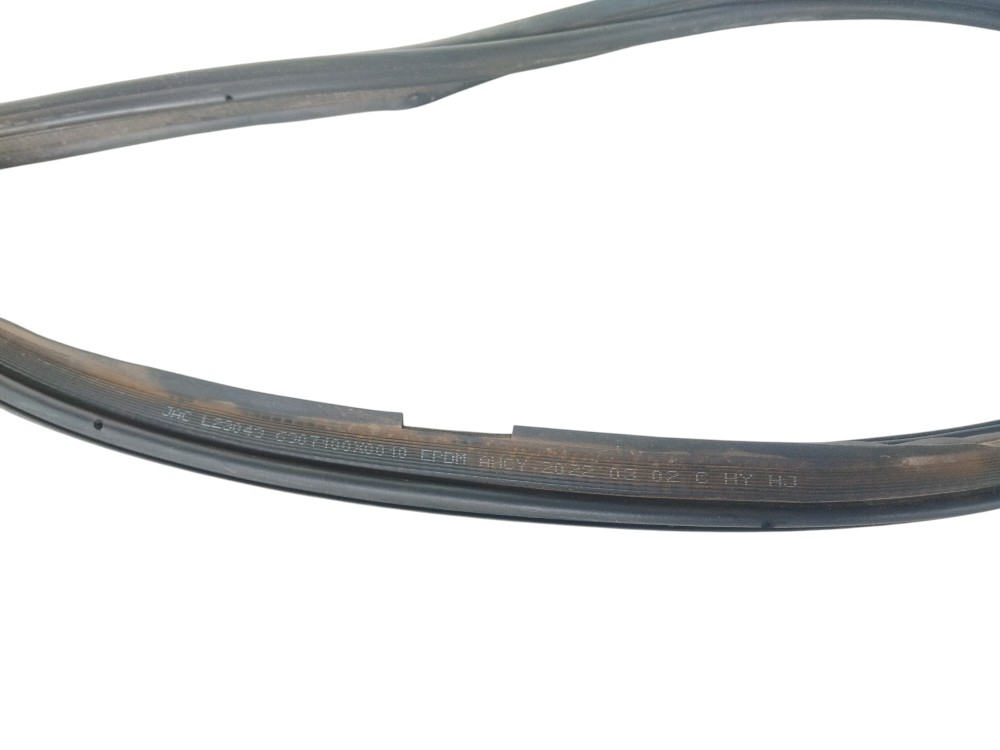 Guarnição Vedação Tampa Traseira Jack E Js1 2023 Original 4