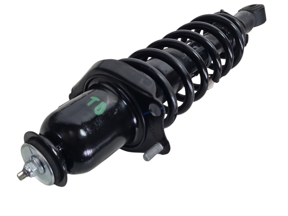 Torre amortecedor traseiro direito BYD Dolphin Mini 2025 3
