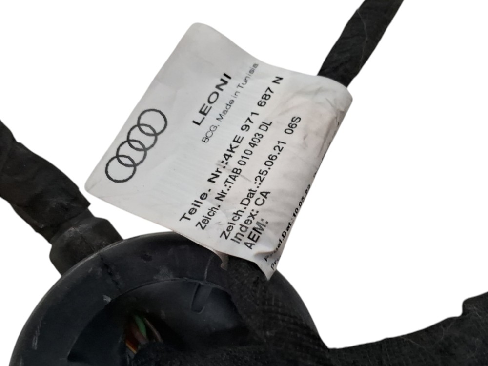 Chicote Porta Traseiria Da Direita Para Audi E tron 2022 6
