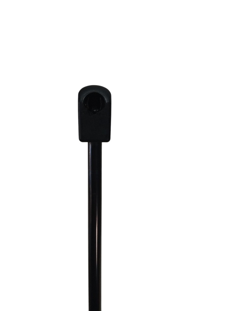 Par De Amortecedor Porta Malas Byd Dolphin Mini Original 4