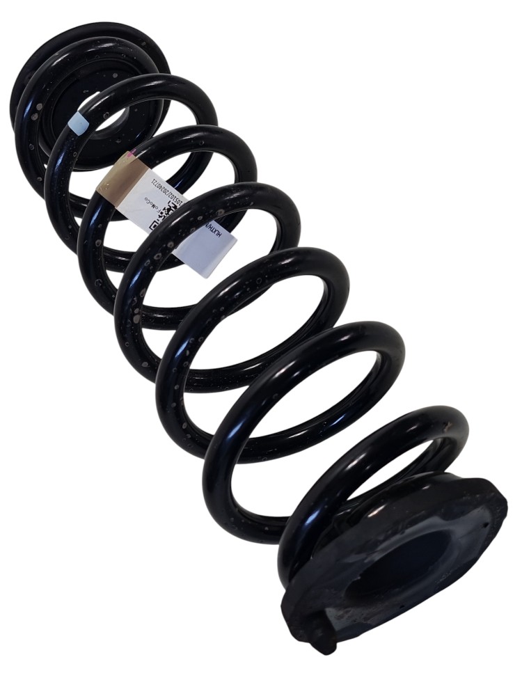 Mola suspensão traseira Ford Territory 2025 0KM NS1-5B669 5