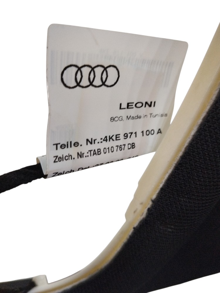 Forro de teto com teto solar Audi Etron 2022 ORIGINAL 4