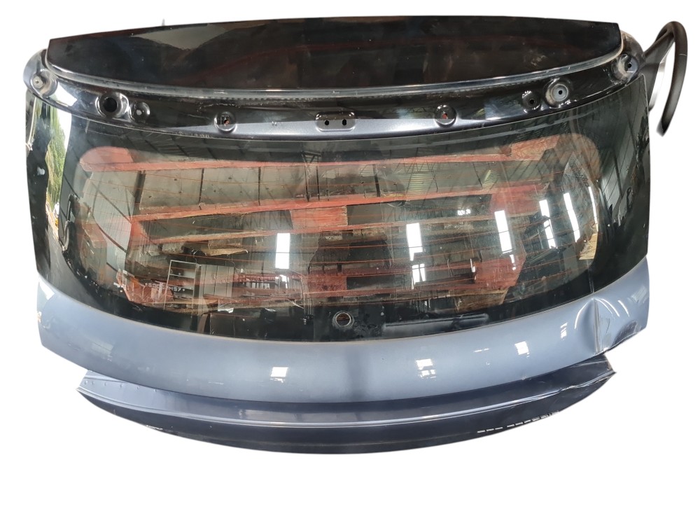 Tampa Porta Malas Byd Dolphin Plus 2024 2025 2026 Detalhe 7