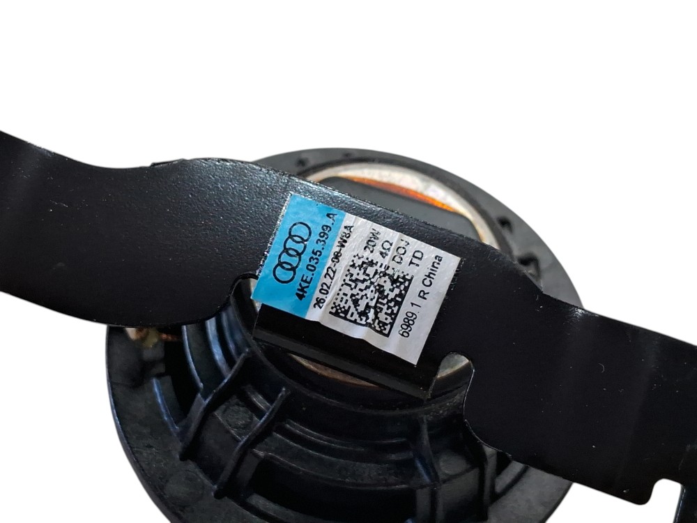 Tweeter Auto Falante Para Audi E tron SPB 2022 4KE035399 6