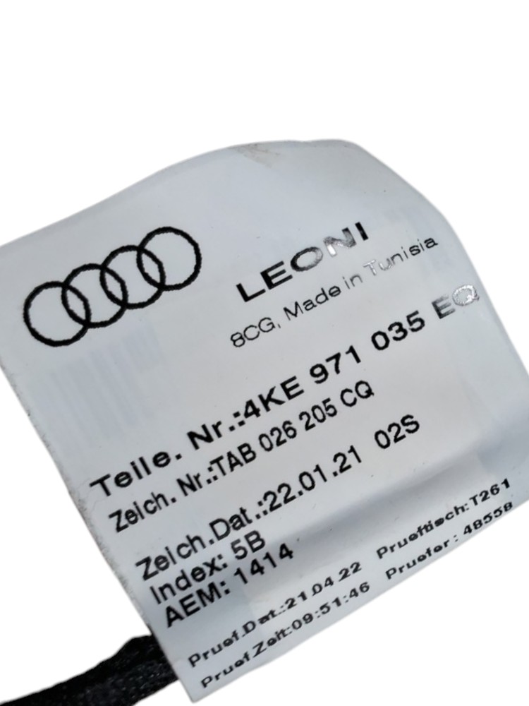 Chicote Porta Dianteira Motorista Audi E tron SPB 2022 6