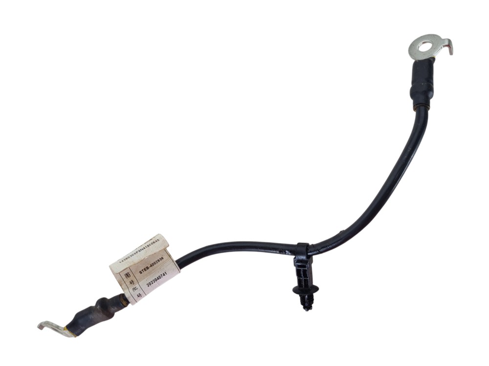 Cabo Bateria Byd Tan 2023 Original Steb-4002936 5