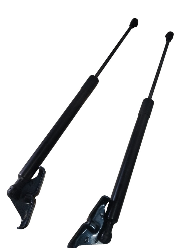 Par Amortecedor Tampa Traseira Renault Zoe Neo 904502915r 5