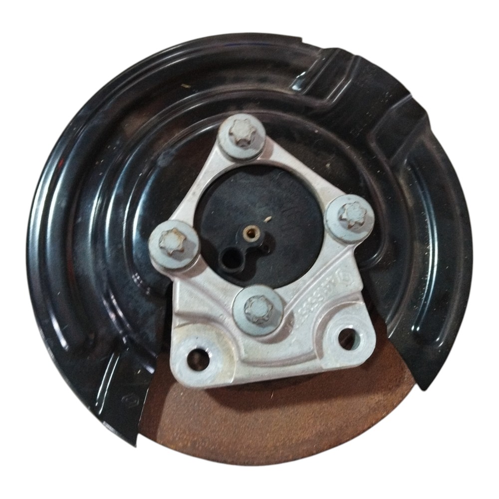 Montante eixo traseiro esquerdo Renault Zoe 2021 original 7