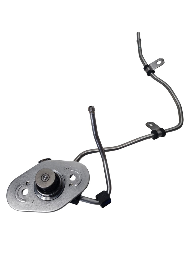 Bomba de alta pressao para gwm tank 300 2025 2026 original 1