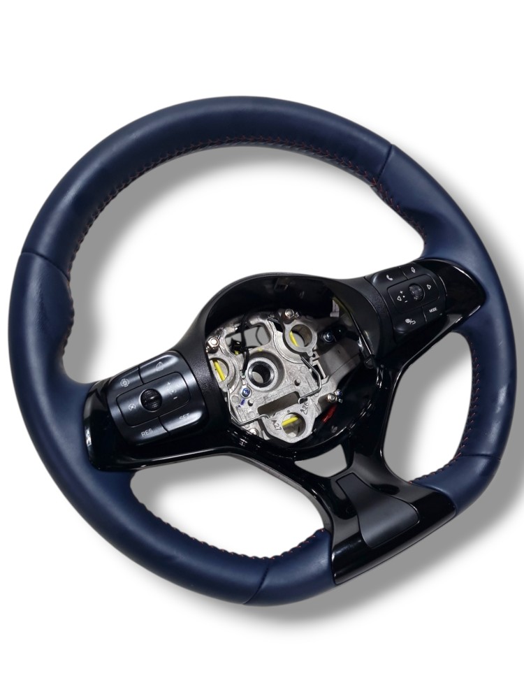 Volante Byd Dolphin Mini 2025 2026 Original Com Multimidia Azul 2