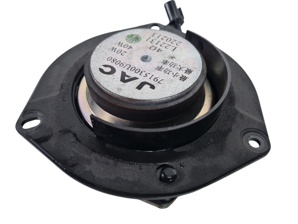 Alto-falante Porta Tras Esquerda Jac E-js1 2023 7915300u9080 Preto 5