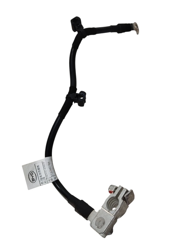 Cabo de Bateria Byd Song Pro 2025 2026 SA2HG4002911A 4
