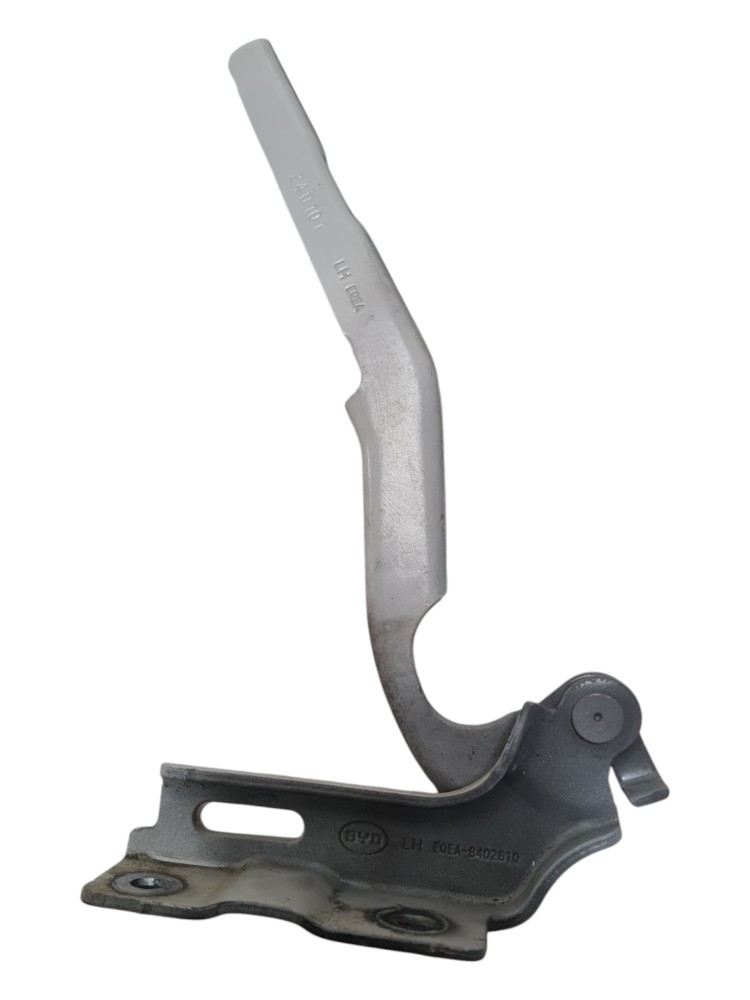 Dobradiça do capo byd dolphin mini 2025 2026 original