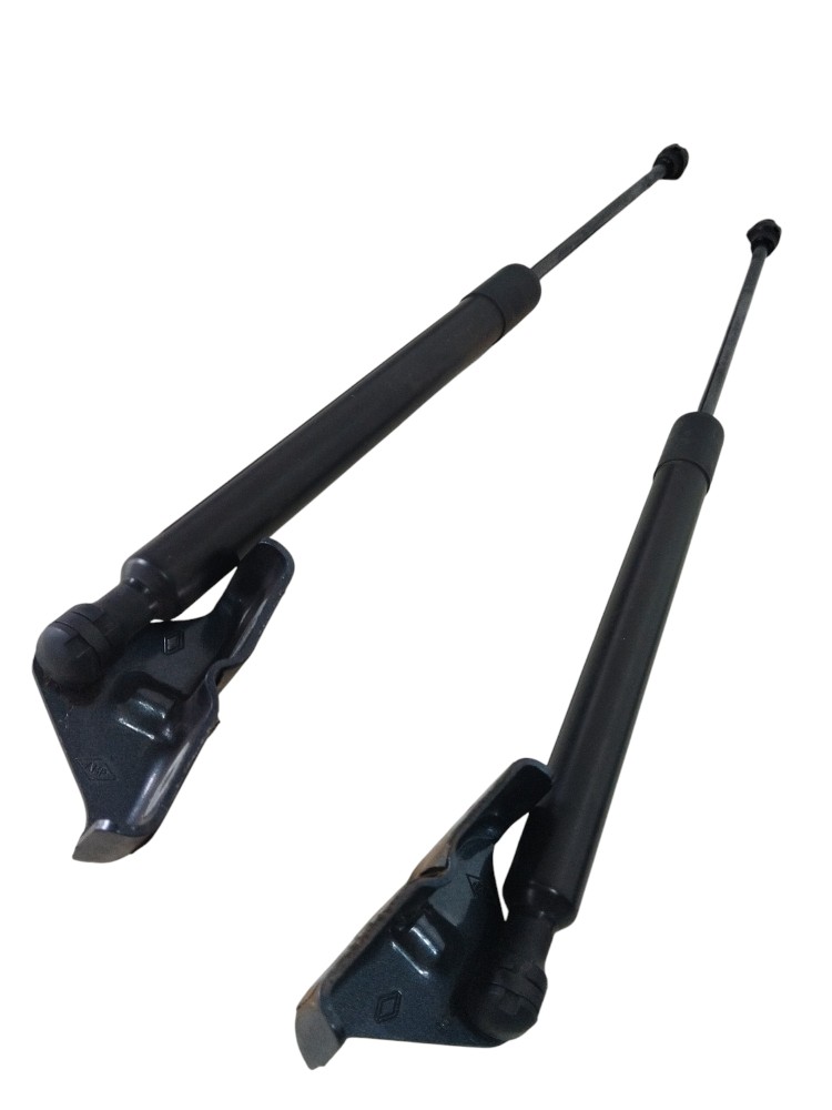Par Amortecedor Tampa Traseira Renault Zoe Neo 904502915r 6