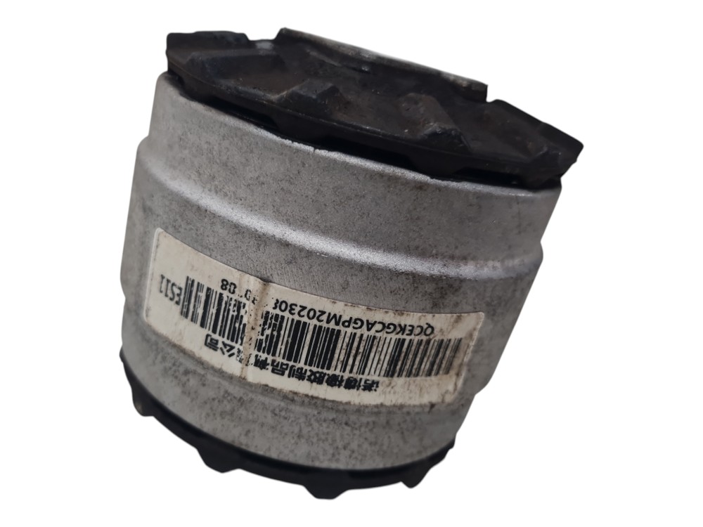 Coxim do motor para gwm ora 03 skin ano 2023 2024 original 6