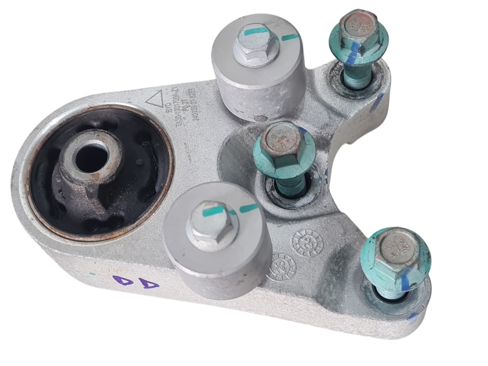 Coxim de moto lado direito BYD Dolphin 2024 2025 2026 5