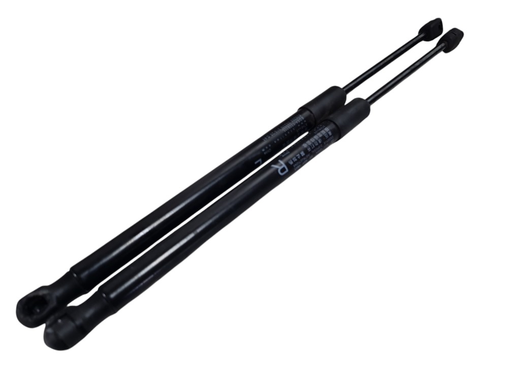 Par Amortecedor Tampa Traseira Byd Dolphin Mini 2024 2025 2