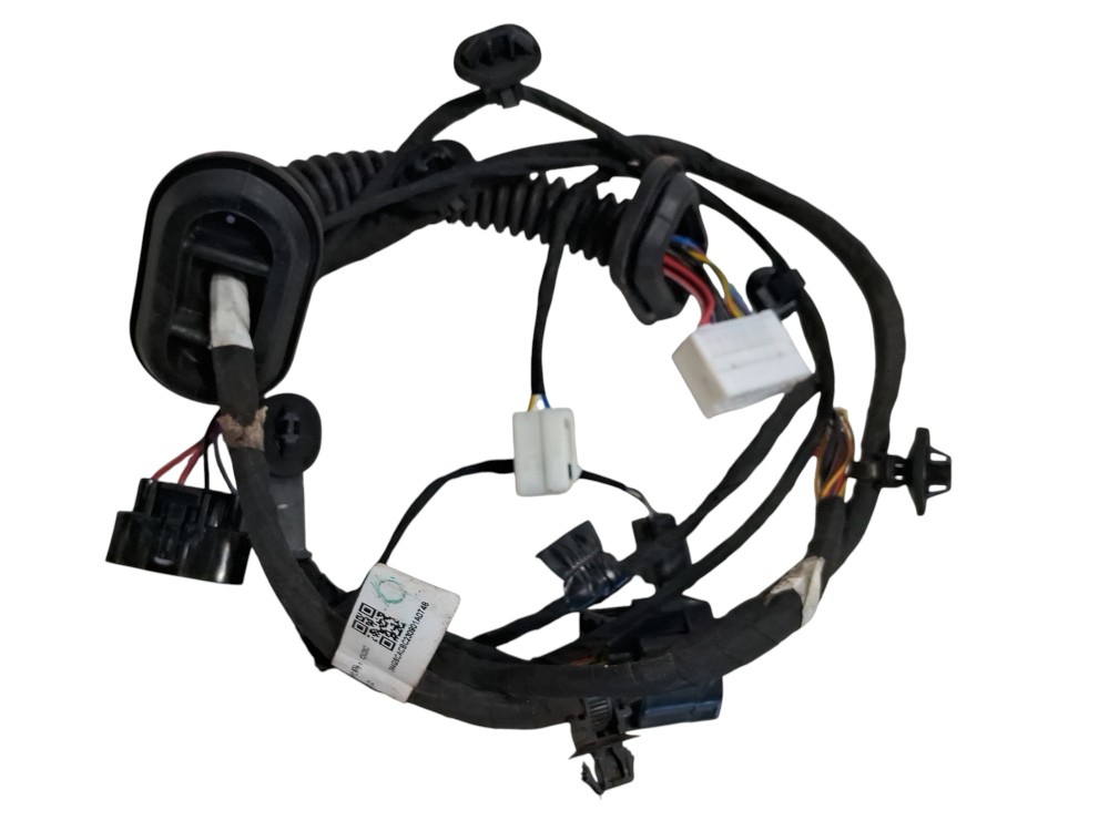 Chicote Porta Traseira Para Gwm Ora 03 Skiw 2024 2025 5