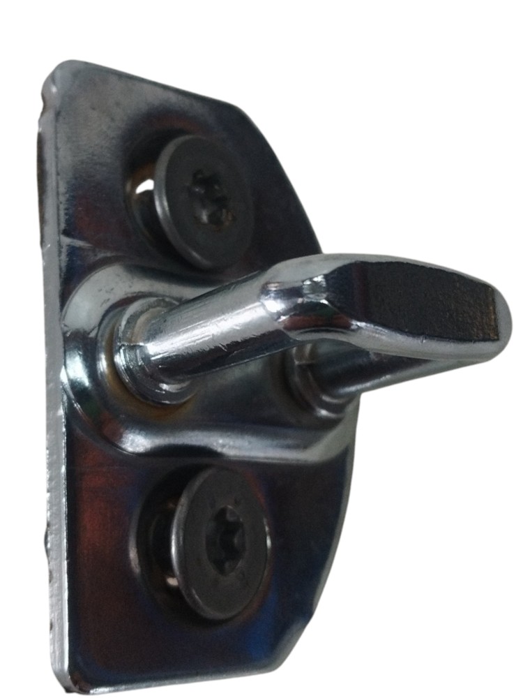 Batente Porta Renault Zoe Neo 2022 Original 825705229r 5