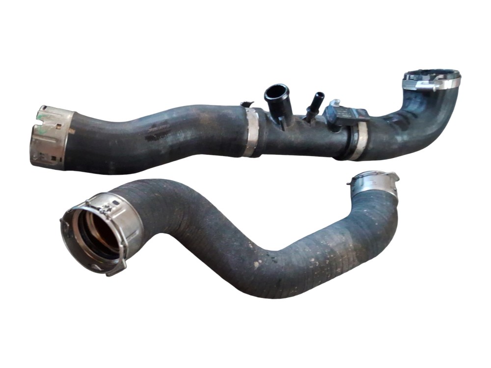 Kit 2 Mangueira De Agua Gwm Tank300 Híbrido 2025 2026 6