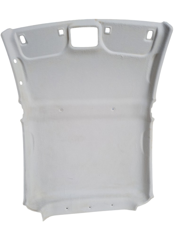 Forro Teto Interno Jac E-js1 2023 Ótimo Estado 4