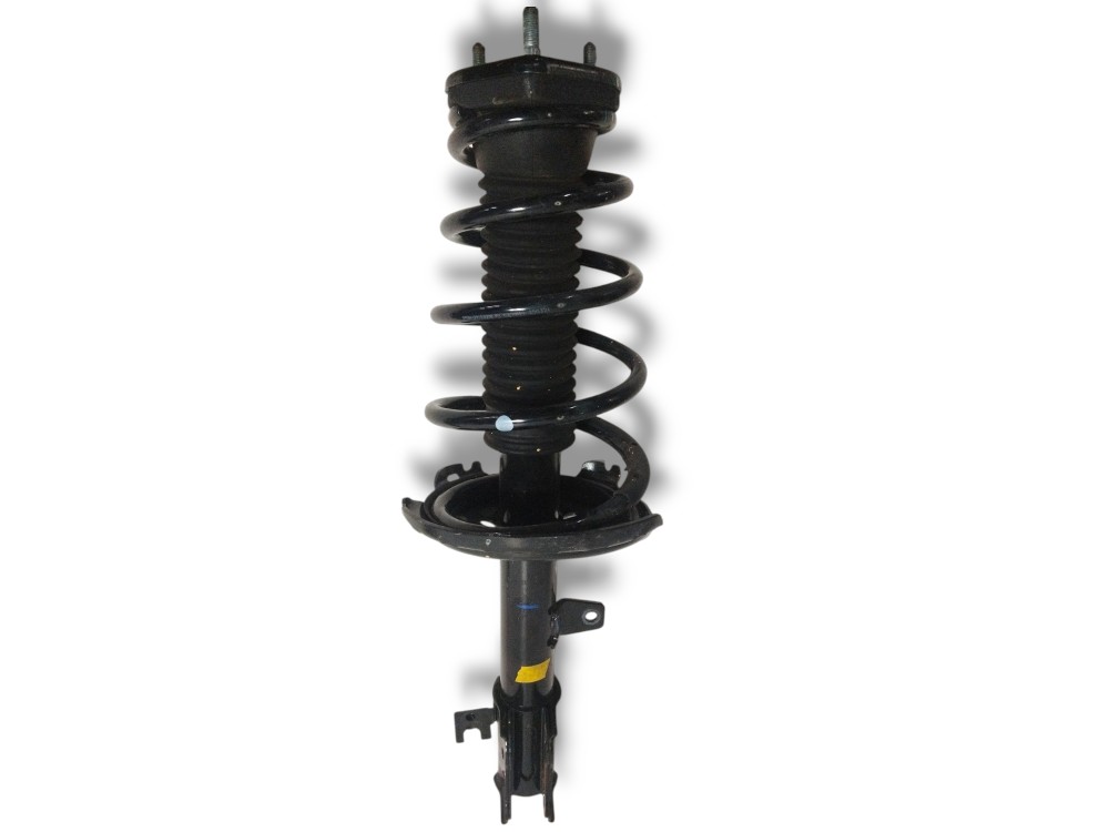 Torre Amortecedor Traseiro Esquerdo Byd Song Pro 2025